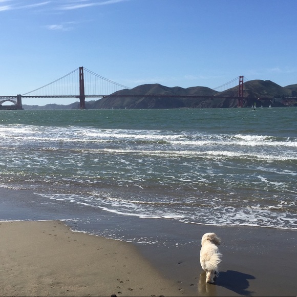 MEET YOUR POSHER - Picture 4 of 5